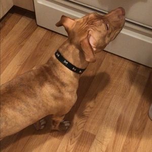 Meet your Posher, Antoine